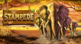 New slot sites with fluffy favourites New slot sites with fluffy favourites